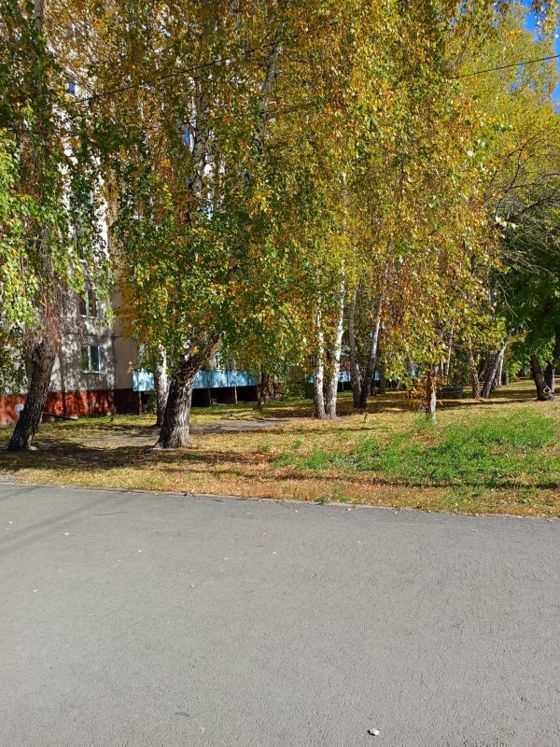 Место для нестационарного торгового объекта, Курган, ул. Фарафонова