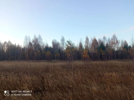 Аренда земельного участка 99 га, сельхозназначение, с. Красный Холм, Рязанская обл.