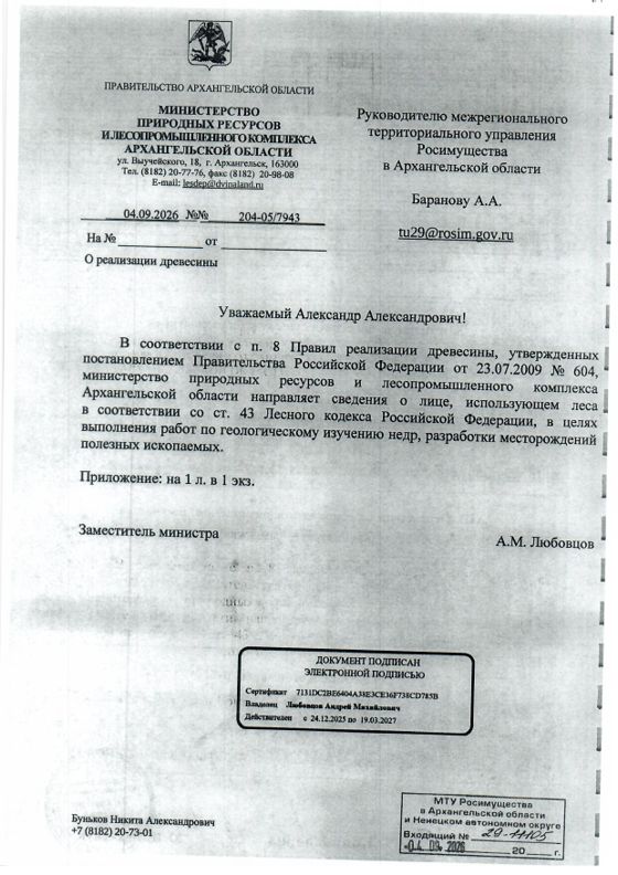Древесина, 38 м³