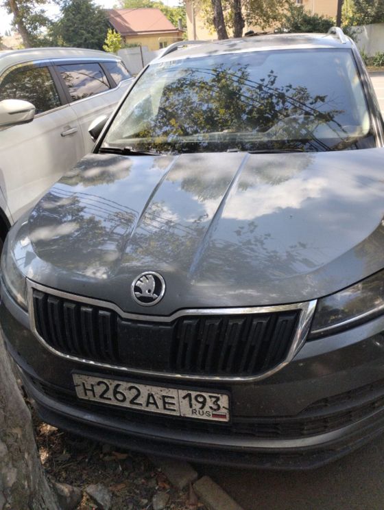 Skoda Karoq, 2020