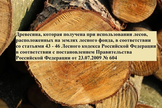 Древесина, 26,6 м³