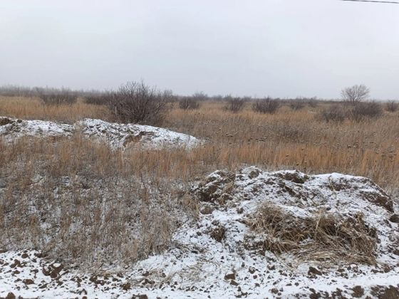 Земельный участок 20 сот., ИЖС, Забайкальский край
