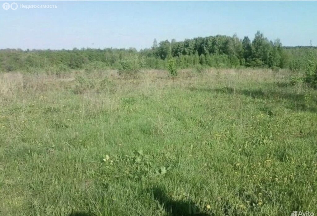 Аренда земельного участка 15 сот., ЛПХ, Рязанская обл.