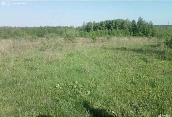 Аренда земельного участка 15 сот., ЛПХ, Рязанская обл.