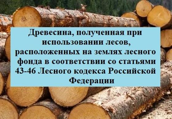 Древесина, 5 м³
