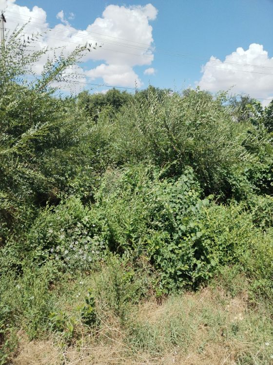 Аренда земельного участка 6,2 сот., многоэтажная застройка, Благодарный