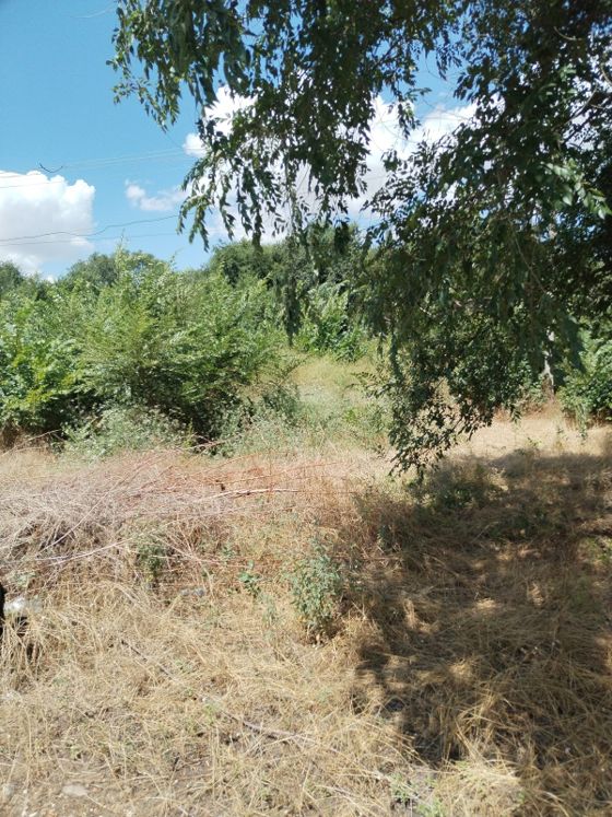 Аренда земельного участка 11 сот., многоэтажная застройка, Благодарный