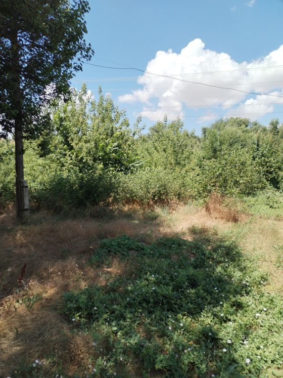 Аренда земельного участка 13 сот., многоэтажная застройка, Благодарный