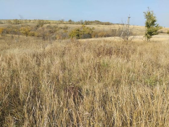 Аренда земельного участка 62,5 га, сельхозназначение, Ростовская обл.