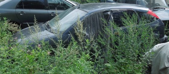 Ford Focus, 2003