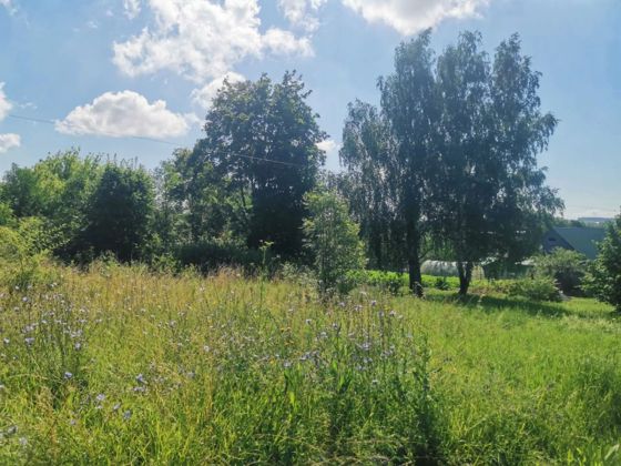 Аренда земельного участка 11 сот., ИЖС, Тульская обл.