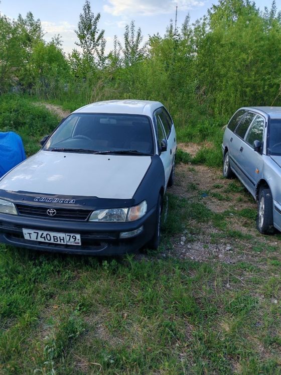 Toyota Corolla, 1995