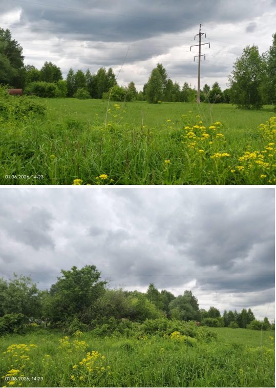 Земельный участок 12 сот., ЛПХ, Нижегородская обл.