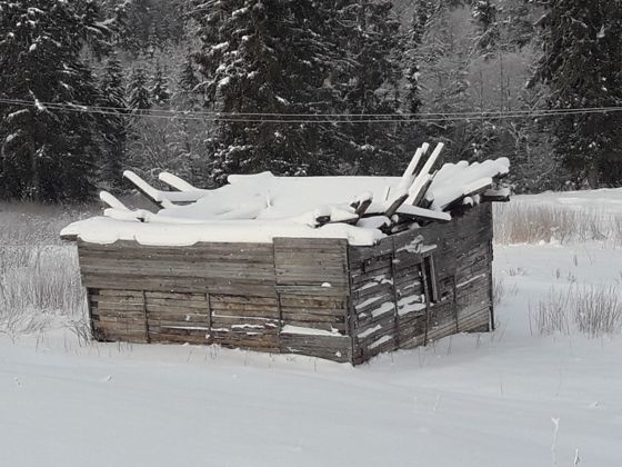 Нежилое здание 30,7 м², Новгородская обл.