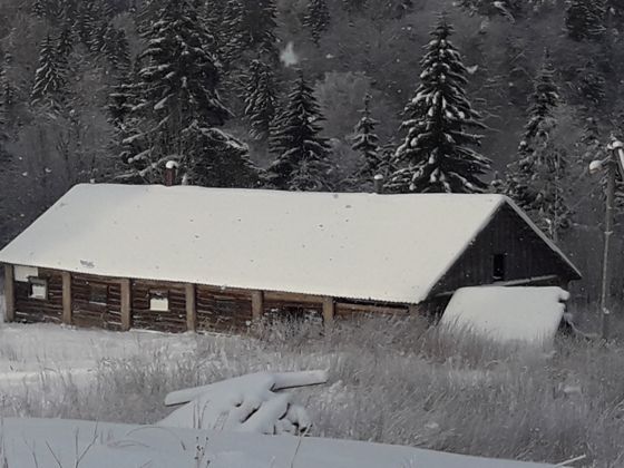Нежилое здание 184,4 м², д. Лука, Новгородская обл.