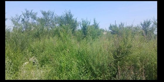 Земельный участок 2,9 га, под гараж, Черногорск