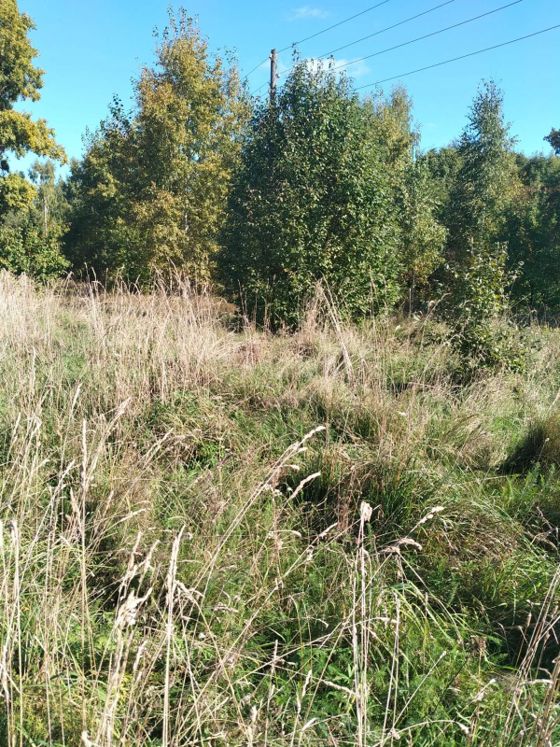 Аренда земельного участка 15 сот., ИЖС, с. Волжский, Нижегородская обл.