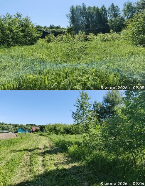 Аренда земельного участка 14 сот., ЛПХ, д. Кривая Шелокша, Нижегородская обл.