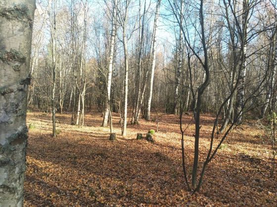 Аренда земельного участка 16 сот., ИЖС, с. Волжский, Нижегородская обл.