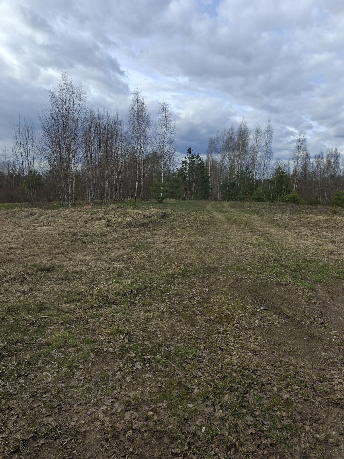 Земельный участок 18 сот., ЛПХ, Новгородская обл.