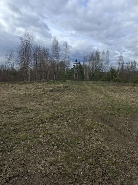 Земельный участок 18 сот., ЛПХ, Новгородская обл.