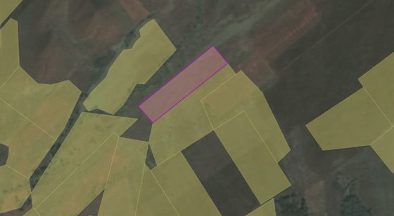 Аренда земельного участка 7,46 га, сельхозназначение, Тыва