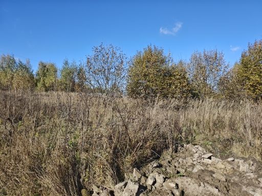 Аренда земельного участка 9,1 сот., ЛПХ, д. Бессоново, Московская обл.