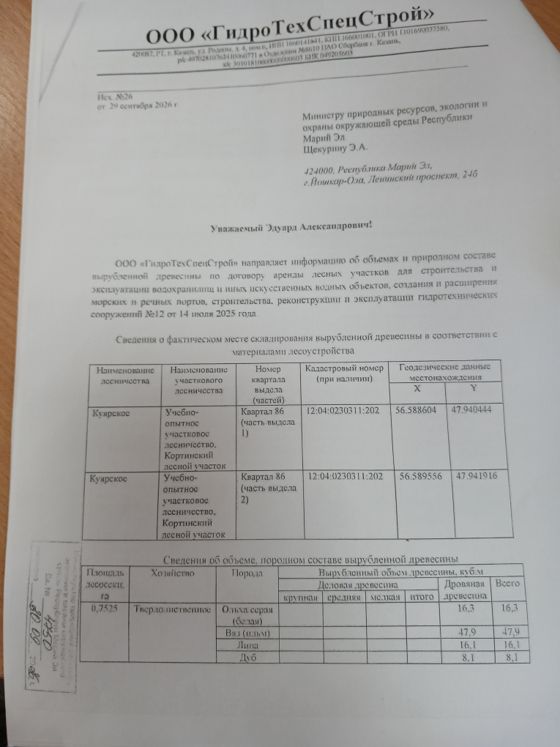 Древесина