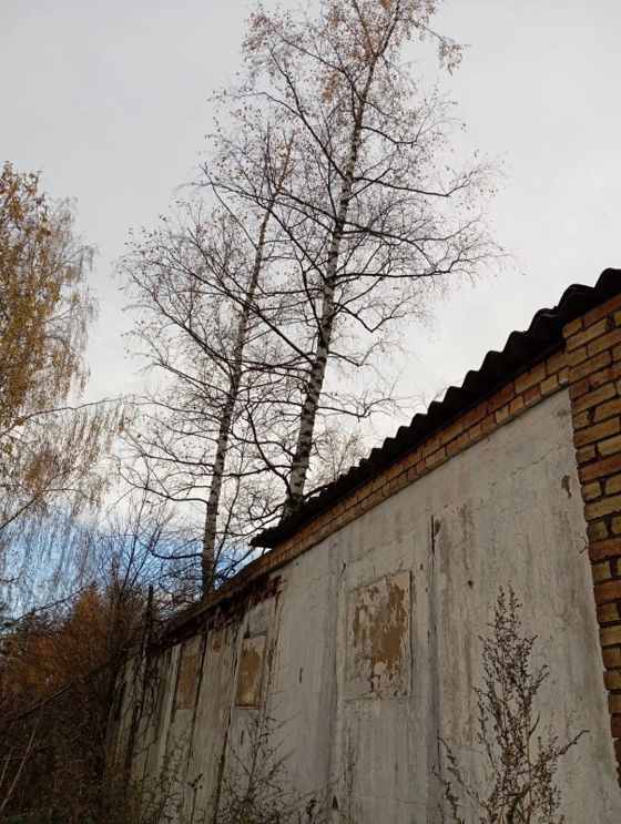 Нежилое здание 210,5 м² с участком, д. Перёдки, Новгородская обл.