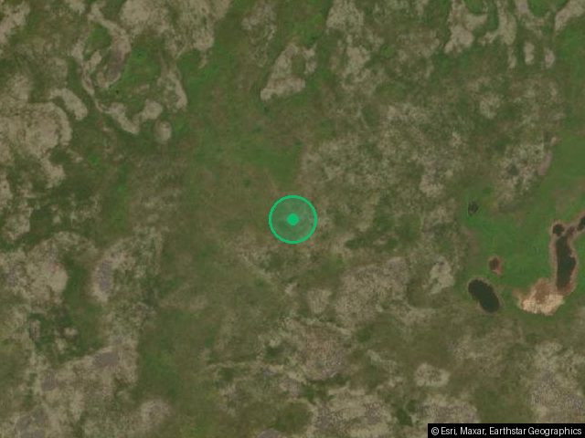 16. Палтусы