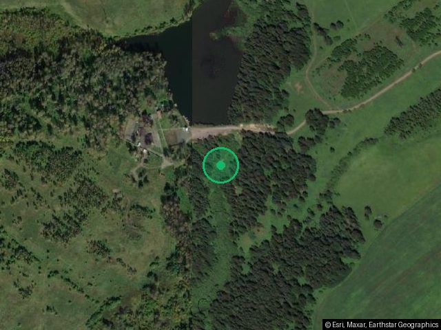 Земельный участок, площадью 600 кв. м., расположенный по адресу: Кемеровская обл., Прокопьевский м. р., СНТ «Лесное», уч. 110, кадастровый номер 42:10:0304010:1098