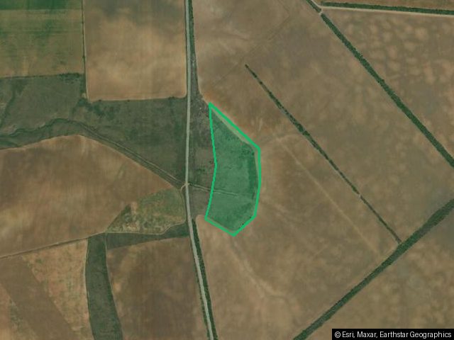 Земельный участок, площадь 91873 +/- 2652 кв.м., адрес (местонахождение): обл. Волгоградская, р-н Городищенский, территория администрации Новогачинского городскогопоселеия, кадастровый (условный)номер: 34:03:000000:21169, вид собственности: индивидуальная.
Ознакомление с имуществом производится по адресу: Волгоградская область, рп. Новый Рогачик, ул. Молодежная, д. 18, кв. 1 с момента публикации сообщения о продаже имущества и до окончания приема заявок по предварительной записи по телефону: 890