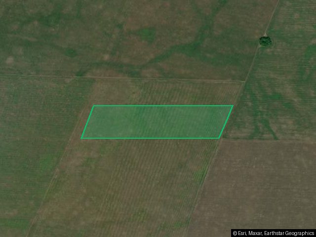 Доля в земельном участке Российская Федерация, Алтайский край, район Хабарский, территория администрации Мартовского сельсовета, площадь 150000 +/- 3389 кв.м., кадастровый (условный) номер: 22:56:060001:283 Находится в долевой собственности, размер доли: 1/4. В случае дополнительного проведения, необходимых для регистрации, кадастровых и/или инженерных работ, финансовые затраты берет на себя победитель торгов.
С имуществом можно познакомиться по предварительной записи у организатора торгов.
