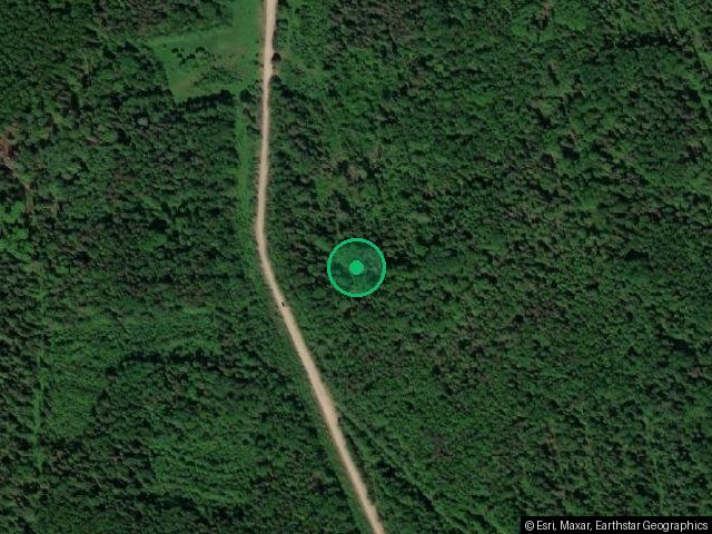 Земельный участок площадь 5000 кв. м. кадастровый номер 35:25:0602077:46 Вологодская область, Вологодский район, с/с Пудегский, урочище Кореневские кусты