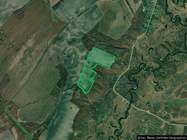 1/3 доли в земельном участке 30,1 га, сельхозназначение, Амурская обл.