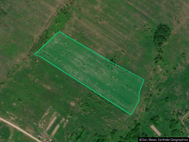 Земельный участок, площадь 68160 +/- 2284 кв.м., адрес (местонахождение): Тверская область, Рамешковский район, с/п. Алёшино, в районе д.Устюги, кадастровый (условный) номер: 69:26:0000015:550. Находится в совместной собственности.
Порядок ознакомления с имуществом должника:
Лот № 1,2,3 - в свободной форме по месту его нахождения.
Лот № 4 - Не предусмотрен, нематериальный актив.