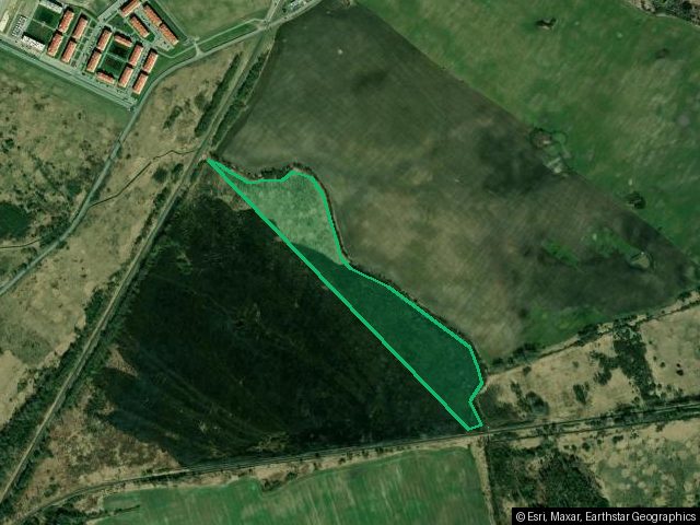 Земельный участок - 93 600 +/- 2 676 кв. м, местоположение установлено относительно ориентира, расположенного в границах участка, почтовый адрес ориентира: Калининградская обл., Гурьевский р-н, юго-западнее пос. Ласкино, кадастровый номер 39:03:080904:10, земли промышленности, энергетики, транспорта, связи, радиовещания, телевидения, информатики, земли для обеспечения космической деятельности, земли обороны, безопасности и земли иного специального назначения - для размещения лесопильно-деревообр