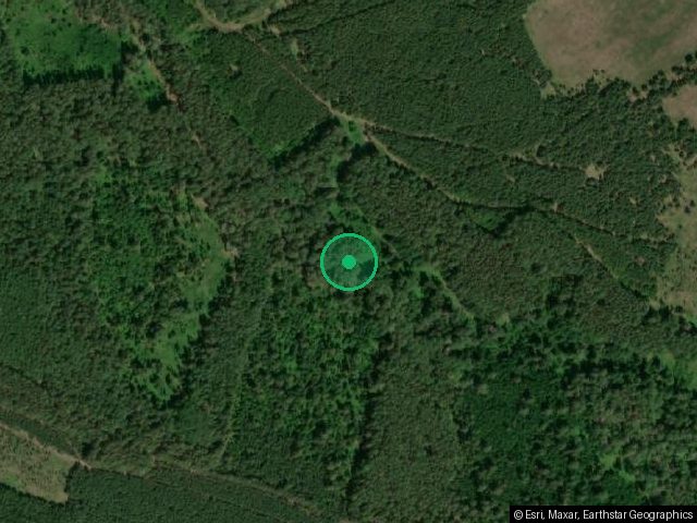 1/4 доля в праве на жилое помещение,
площадь: 44,4кв.м., кадастровый номер:
66:28:0000000:2578 и 1/4 доля в праве на
земельный участок , площадь: 500кв.м.,
категория земель: Земли населенных
пунктов, разрешенное использование:
под огородничество, кадастровый номер:
66:28:0601001:6, Адрес
(местоположение): обл. Свердловская, р-
н Талицкий, с. Вновь-Юрмытское, ул.
Советская, № 32/1
В имуществе имеются доли,
принадлежащие несовершеннолетним
сособственникам.
Порядок ознакомления с имуществом должник