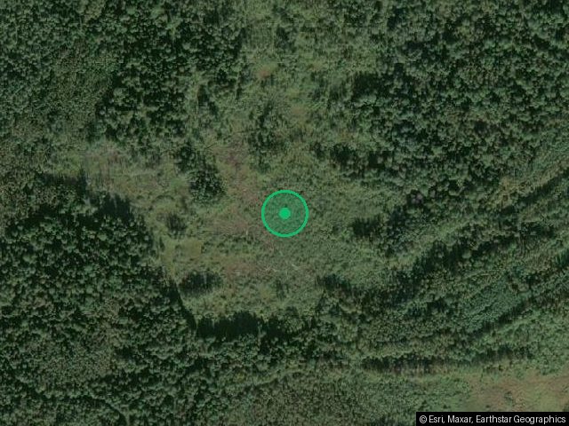 1/2 доли в жилом доме 53,6 м², д. Серебряницы, Новгородская обл.