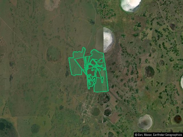 1/41 доля в праве на земельный участок, площадь: 5 877 298кв.м., адрес (местонахождение): Челябинская область, р-н Варненский п.Новопокровка, участок находится примерно в 2.8 км, по направлению на север от ориентира, категория земель: Земли сельскохозяйственного назначения, разрешенное использование: Для сельскохозяйственного производства, кадастровый номер: 74:05:0000000:2551
Аренда № 74:05:0000000:2551-74/005/2020-35 от 04.03.2020
Порядок ознакомления с имуществом должника:
С ЛОТОМ №1 можно оз