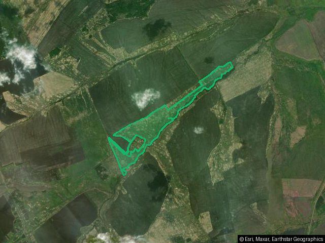 доля в размере 1/46 в праве собственности на земельный участок, кадастровый номер 52:47:0900004:266, категория земель – земли сельскохозяйственного назначения, вид разрешенного использования – для сельскохозяйственного производства, площадью – 910 235 кв. м., расположенного по адресу: Местоположение установлено относительно ориентира, расположенного в границах участка (почтовый адрес ориентира: Нижегородская область, Краснооктябрьский район, в 3,9 км на юго-запад от южной окраины с. Ключищи