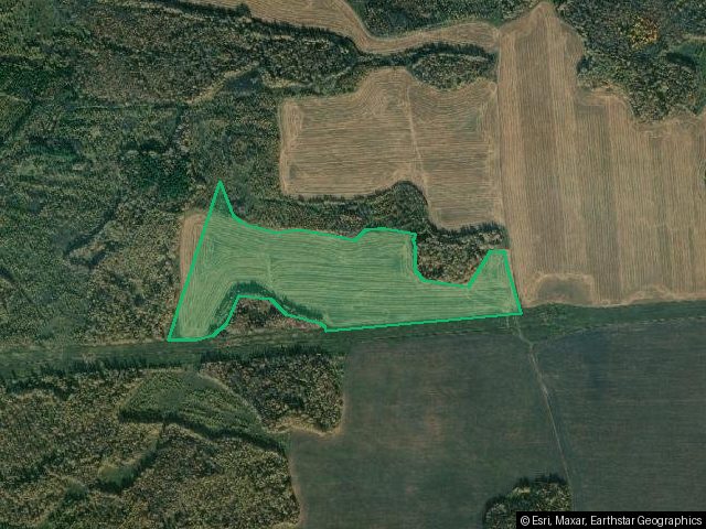Земельный участок, общей площадью 157 000 кв.м. (1 570 сот.), расположенный по адресу: Курганская область, р-н Юргамышский, с Горохово, в границах бывшего ТОО «Рассвет», кадастровый номер: 45:24:030205:1839, дата государственной регистрации: 06.03.2018 г.