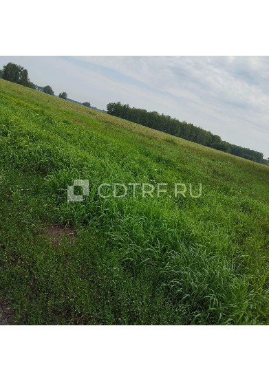 Земельные объекты (участки). Адрес местонахождения участка: 646880,РОССИЯ,Омская обл, Азовский немецкий национальный р-н Азово с. Площадь (кв.м.): 124000. Размер доли в праве: 1.
По вопросам, связанным с имуществом можно обратиться по номеру телефона +79101701108 или электронной почте: torgibfl@mail.ru