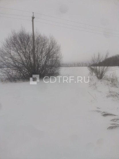 Земельный участок, площадь 4800 кв.м., адрес: обл Липецкая, р-н Хлевенский, с Нижняя Колыбелька, ул Центральная, земельный участок 63, кадастровый номер: 48:17:0000000:1167, вид собственности: индивидуальная.
Ознакомиться с порядком продажи имущества, получить дополнительную информацию об имуществе можно в рабочие дни с 14:00 до 18:00 часов по предварительной договоренности с организатором торгов о дне и времени такого осмотра по телефону 89997646494, е-mail: bczhokhov@yandex.ru.