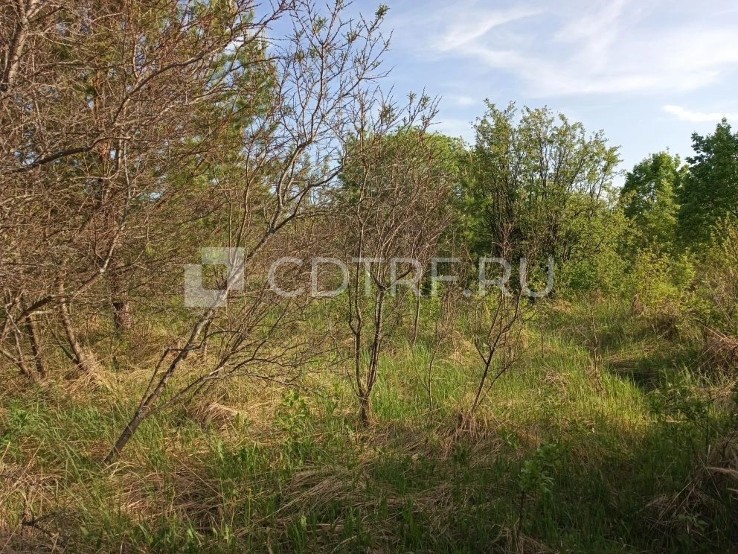 Лот №2: Земельный участок для садоводства, площадь: 878 кв.м., кадастровый номер: 59:29:1430314:7, местоположение: Местоположение установлено относительно ориентира, расположенного за пределами участка. Почтовый адрес ориентира: край Пермский, р-н Осинский, Осинское городское поселение, Коллективный сад "Медик".
Собственник: Быстрова Елена Евгеньевна (должник).
В случае необходимости проведения кадастровых работ (работ по межеванию земельного участка, установлению (уточнению) границ земельного у