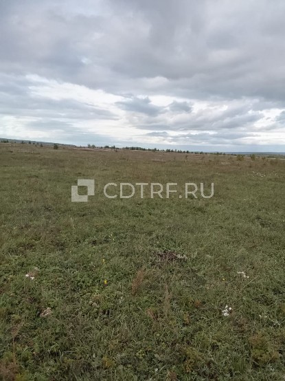 Земельный участок, площадью 100000 +/- 2767 кв.м, виды разрешенного использования объекта недвижимости: для организации сельскохозяйственного производства, кадастровый номер 85:02:090504:100, адрес местонахождения: Местоположение установлено относительно ориентира, расположенного в границах участка. Почтовый адрес ориентира: Иркутская область, Баяндаевский район, ур. "Иванова пашня".
Ознакомление с имуществом, заключение договоров задатка и оформление необходимых документов осуществляется с 08.0