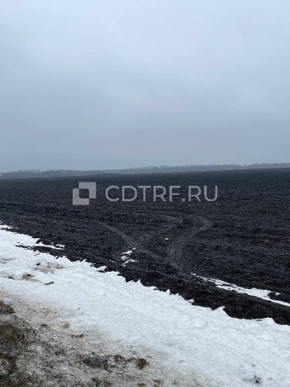 Доля в праве 357/47497 на земельный участок с кадастровым номером: 23:31:0101000:580, расположенный по адресу: Краснодарский край, р-н Тимашевский, в границах ОАО АФ "Роговская", секция 4, контур 2, секция 5, контур 1, 36, секция 1, контур 22, 8, 2701, 27, 2201, 12, 1201, 32, 20, 21, 2101. Межевание не проведено в связи с отсутствием у должника денежных средств.
Ознакомление с имуществом производится по адресу: Краснодарский край, р-н Тимашевский, в границах ОАО АФ "Роговская", с момента публика