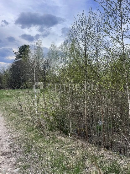 Земельный участок площадью 1 494 +/- 27 кв.м., расположенный по адресу: Новгородская обл, муниципальный округ Мошенской, д Новый Посёлок, ул Центральная, кадастровый номер 53:10:0050102:68
По вопросам ознакомления с имуществом, описанием, составом и характеристиками, а также иной дополнительной информацией обращаться по тел.: 8-982-315-27-51 в рабочие дни с 9-00 до 16-00 по московскому времени, а также направив запрос на электронную почту arbitr@vgladchenko.ru.